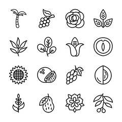 Natural Food And Plants Icons