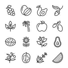 Organic Fruit Icons Vector 
