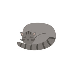 Illustration of a cozy relaxing sleeping cat.