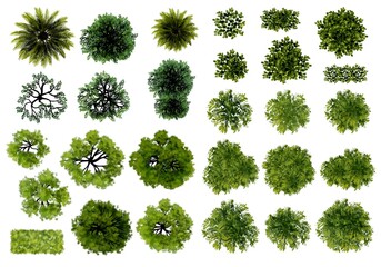 green grass isolated on white background, Set of watercolor tree top view for landscape plan and architecture layout