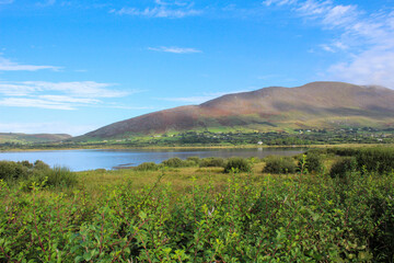 Irland Küsten Meer Weideland Ring of Kerry