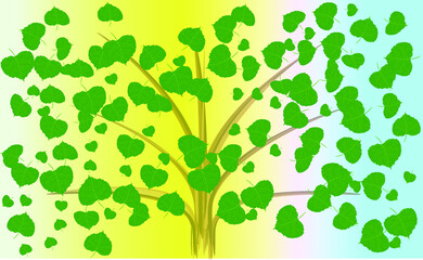 green leaves around a tree