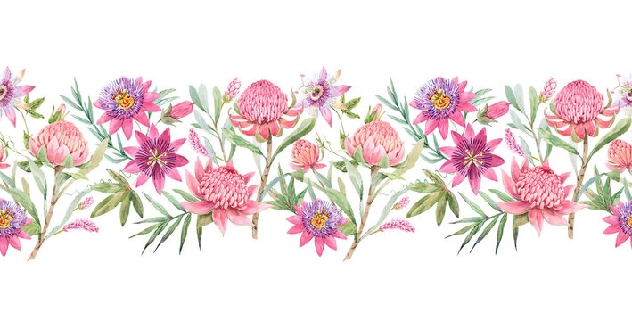 Beautiful horizontal seamless floral pattern with watercolor summer passionflower and waratah protea flowers. Stock illustration.