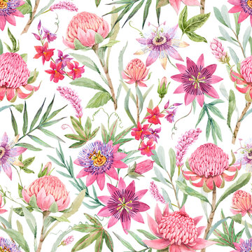 Beautiful seamless floral pattern with watercolor summer passionflower and waratah protea flowers. Stock illustration.