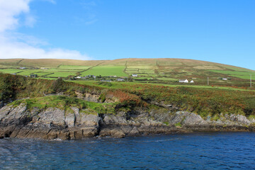 Irland Küsten Meer Weideland Ring of Kerry