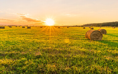 Scenic view at picturesque burning sunset in a green shiny field with hay stacks, bright cloudy sky , trees and golden sun rays, summer valley landscape