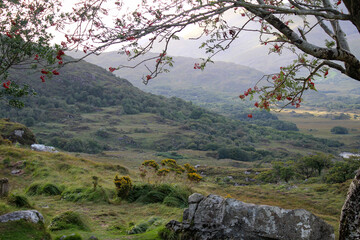 Lady View Irland Ring of Kerry Ausblick