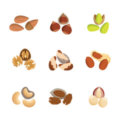 Fototapeta na wymiar Set of organic natural various nuts stacks flat vector illustration isolated.