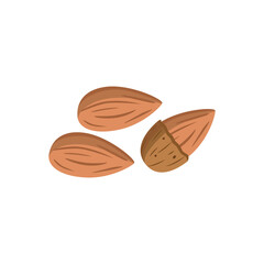 Brown almond nuts in and half out of shell isolated on white background.