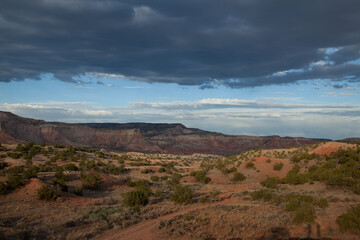 Desert landscape in New Mexico