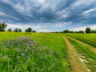 Beautiful country road in summer, with green foliage and storm clouds