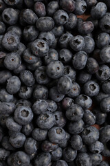 Blueberry berry fresh fruit background photo