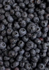 Blueberry berry fresh fruit background photo