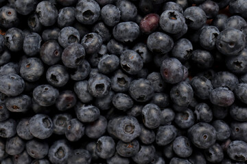 Fototapeta na wymiar Blueberry berry fresh fruit background photo