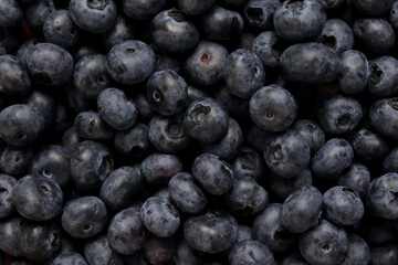 Blueberry berry fresh fruit background photo