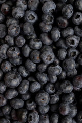 Blueberry berry fresh fruit background photo