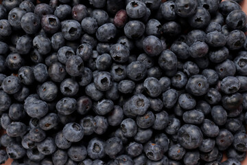 Blueberry berry fresh fruit background photo