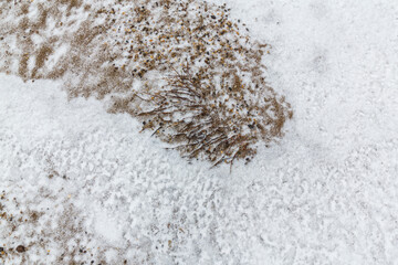 Abstract shapes with sand dunes covered by fresh powder snow, in a wild river bed, in winter