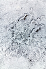 Abstract shapes with sand dunes covered by fresh powder snow, in a wild river bed, in winter