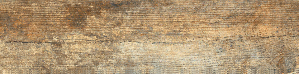 oak old wood texture, ancient background