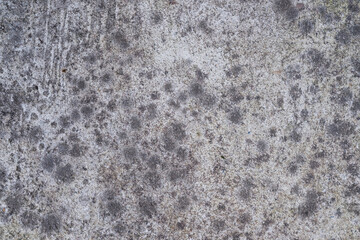 Concrete wall white grey color for background. Old grunge textures with scratches and cracks.