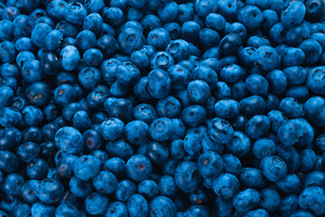Fresh blueberry background.