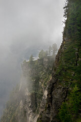 Misty ravine in the Swiss alps, vertical