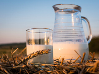 Glass of milk and decanter standing on a bale of hay at a golden sunset against a clear sky.