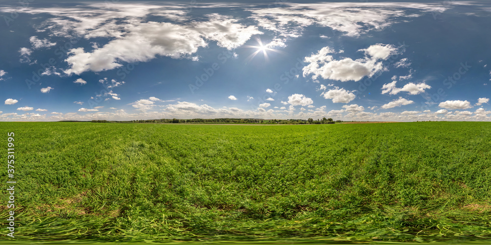 Wall mural full seamless spherical hdri panorama 360 degrees angle view on among fields in summer day with awes