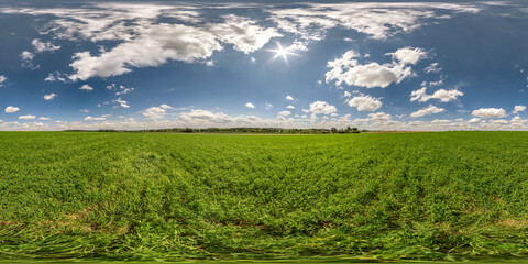 full seamless spherical hdri panorama 360 degrees angle view on among fields in summer day with awesome clouds in equirectangular projection, ready for VR AR virtual reality content - obrazy, fototapety, plakaty
