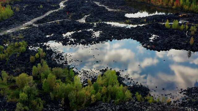 Aerial view of tire landfill and green forest. Environmental disaster.