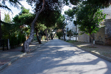 alley in the park