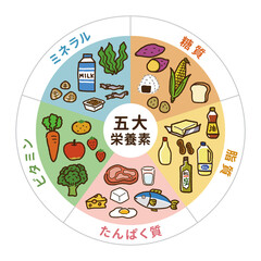 五大栄養素の表イラスト（円型）B
