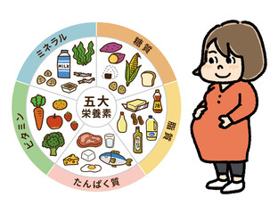 五大栄養素の表と妊婦さんのイラストA