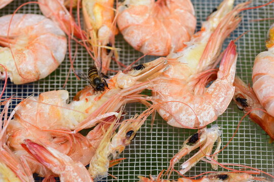 Dried shrimp close-up photo That is produced by themselves as a food ingredient