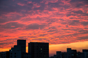 Fototapeta premium sunset in the city