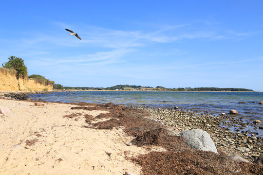 The shore along the steep coast of the holiday destination "Klein Zicker" at the island Rügen, Baltic Sea - Germany