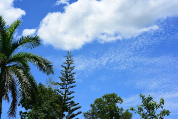 The blue sky with beautiful clouds on a sunny day.