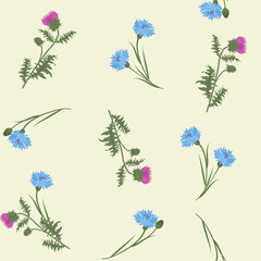 Seamless vector illustration with thistle and cornflowers
