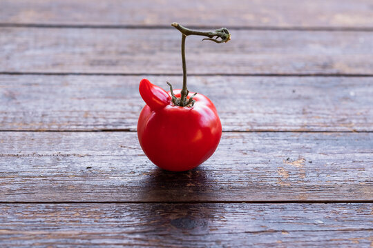 Ugly tomatoes on a wooden background. Funny, unnormal vegetable or food waste concept. Horizontal orientation