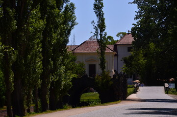 Fototapeta premium Schloss und Park Woerlitz, Sachsen - Anhalt