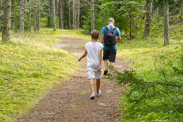 son and father are walking in a summer coniferous forest, on a summer sunny day.