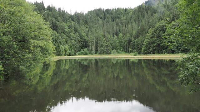 Bayerische Landschaft. Wanderweg um den Suttensee durch das idyllische Rottachtal mit Wald am Seeufer