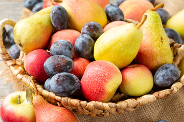 Assortment of fruits in a basket on the table. There are a lot of different raw fruits in the basket. Plums, peaches, apples and pears on the table. Healthy diet