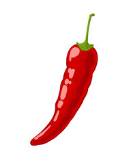 Ripe red hot chili pepper, hand drawn vector illustration isolated on white background. Healthy vegetables icons. Clipart. Fresh cartoon vegetable. chile, chilli pepper, chilli.