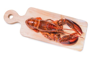 Cooked and boiled red lobster isolated on a white background,Fresh boiled crayfish on white isolated background