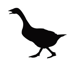 a duck body silhouette vector