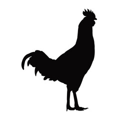 a rooster body silhouette vector