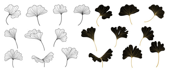 Golden Ginkgo leaves background vector. Luxury Floral art deco. Gold natural pattern design Vector illustration.