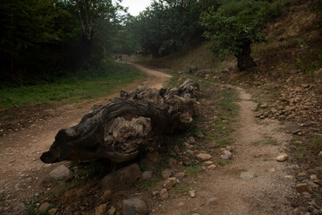 las medulas natural park, spain
